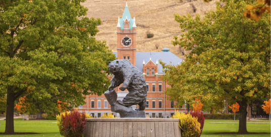 University of Montana