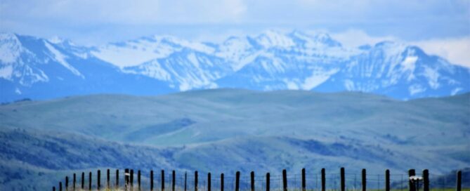 Seasonal Affective Disorder in Montana — Sunflower Counseling Montana