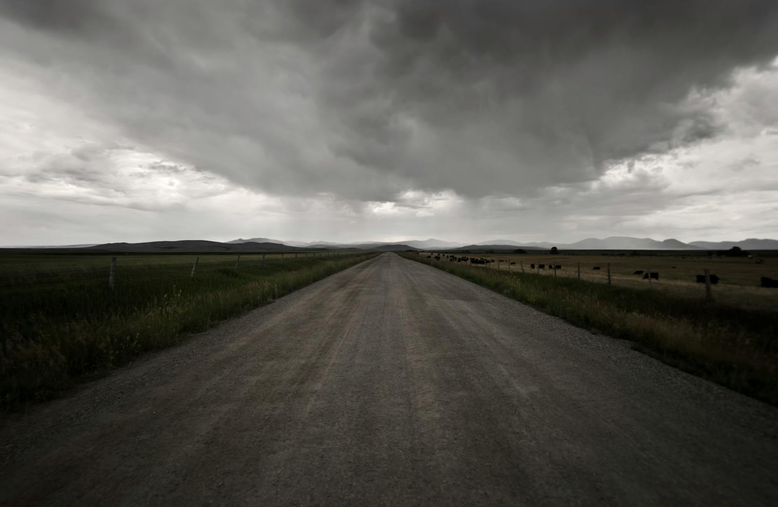 Rural mental health access in Montana — Sunflower Counseling Montana