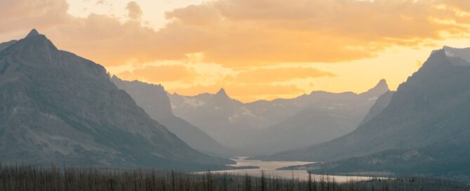 The Divorced Dad Aesthetic and Mental Health — Sunflower Counseling Montana