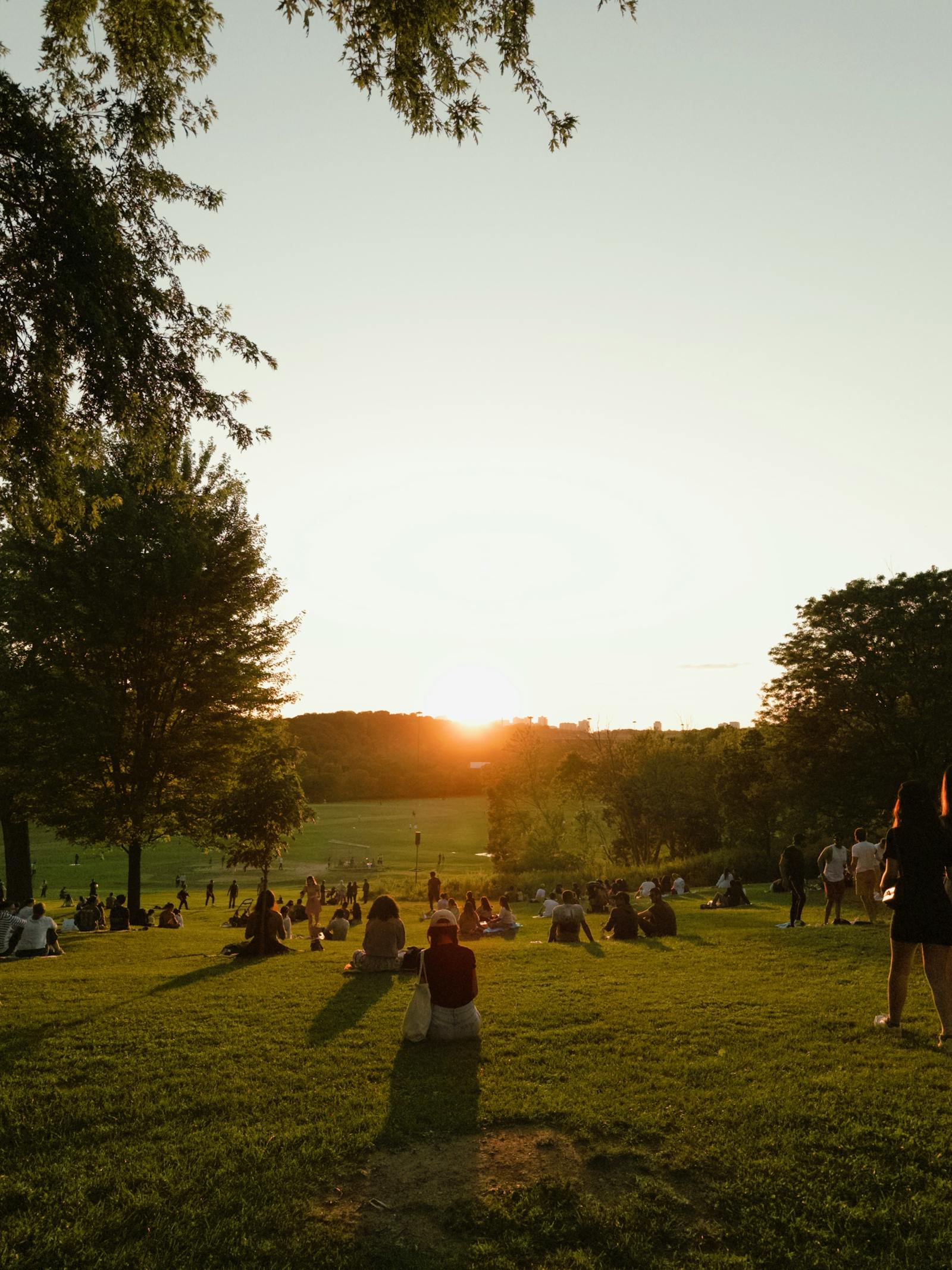 Finding community and connection in Missoula — Sunflower Counseling Montana.