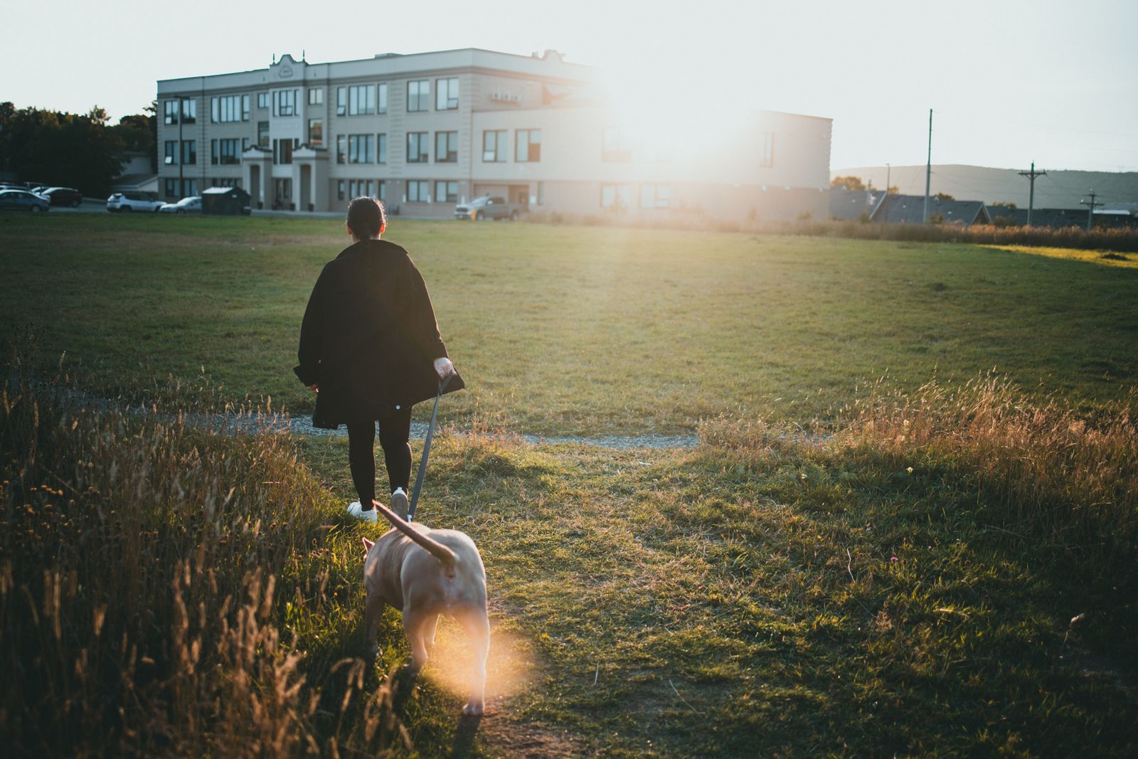 Grief support and counseling in Missoula, Kalispell, and Butte — Sunflower Counseling Montana.