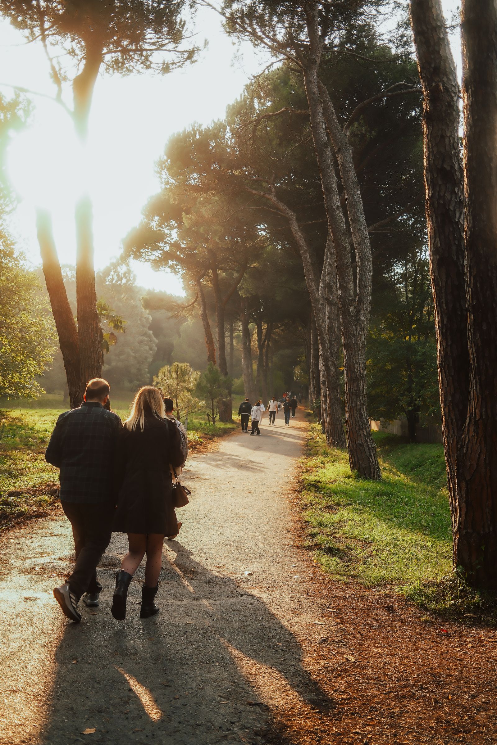 Affair recovery and couples counseling in Missoula, Kalispell, and Butte — Sunflower Counseling Montana