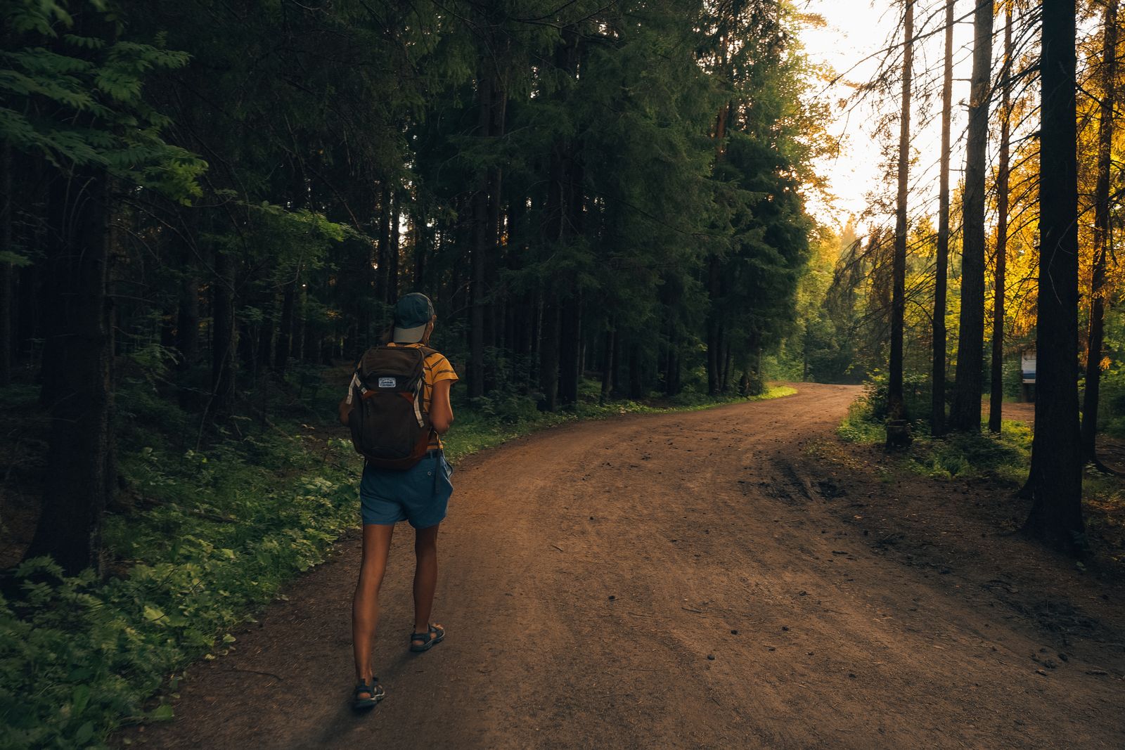 Anxiety counseling and support in Missoula, Kalispell, and Butte — Sunflower Counseling Montana